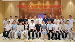 《低壓分布式光伏發(fā)電系統并網(wǎng)技術(shù)要求》起草工作組會(huì )議在南京召開(kāi)